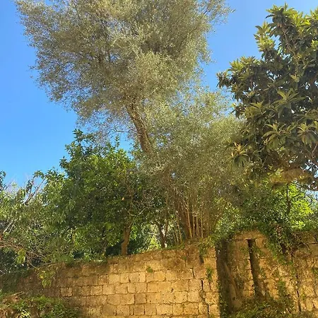 Bed and Breakfast Marama Σορέντο