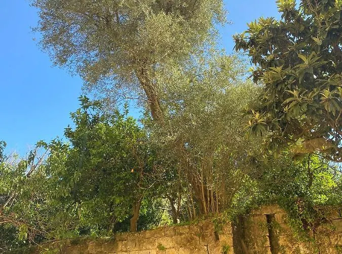 فندق مبيت وإفطار Marama سورينتو